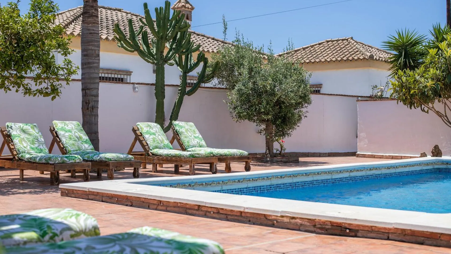 Apartamento Villa Mayo C Conil De La Frontera Spain